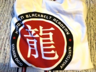 My Geek Box Gouken Dojo December 2015 TShirt